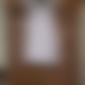 White Sleeveless Top